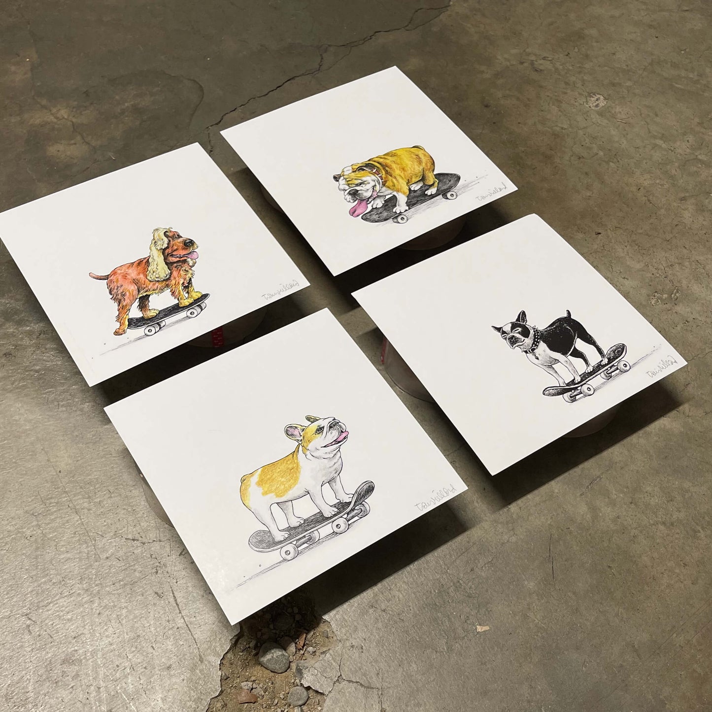 Skate Dogs by Travis Millard